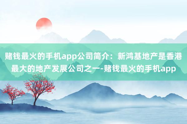 赌钱最火的手机app公司简介：新鸿基地产是香港最大的地产发展公司之一-赌钱最火的手机app